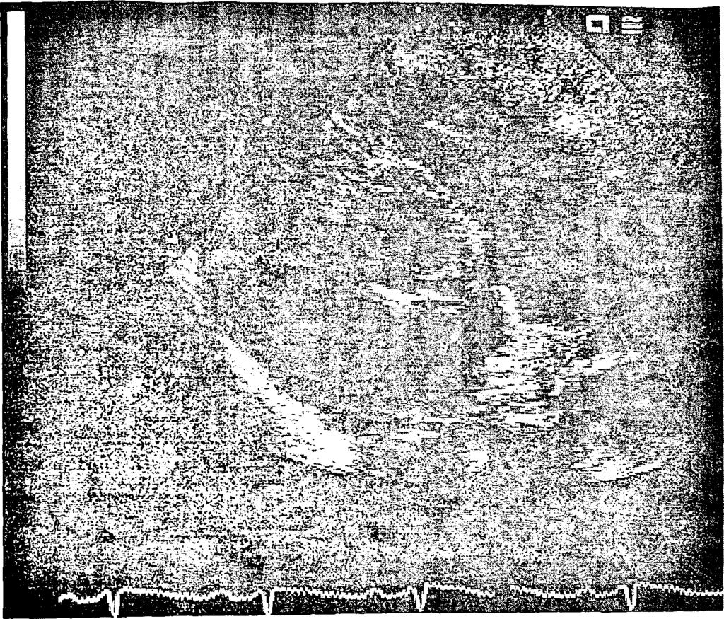 116 Εικ. 1. Γ.