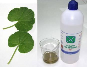 Users.kav.sch.gr 1. Με τη διαδικασία αυτή παράγεται η γλυκόζη και απ αυτή στη συνέχεια το άμυλο, απαραίτητες ουσίες για την ανάπτυξη του φυτού. 2.