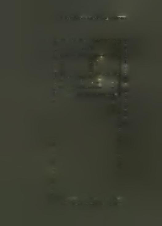 (1961/2):