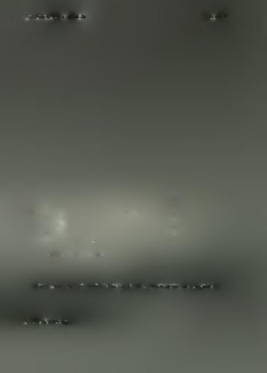 ΧΡΟΝΙΚΑ Α.Δ.