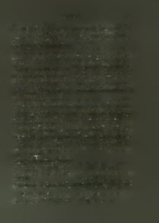 τούτοις φαίνεται μοιραΐον (Π ί ν. 243 β, 248, 249).