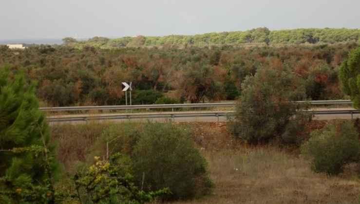 Φωτογραφικό υλικό (Πηγή εικόνων: Dr