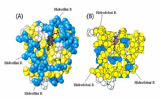 37 prostorno ureñenje proteina dovode do smanjenja njihove topljivosti u vodi, tj. svi fenomeni koji utječu na kidanje vodikovih veza, disulfidnih, hidrofobnih i ionskih veza u strukturi proteina.