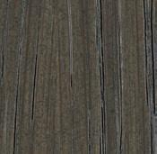 Walnut A