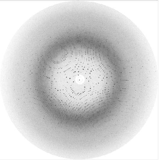 Εικόνα 6: Περιθλασίγραμμα κρυστάλλου φωσφορυλάσης γλυκογόνου b.