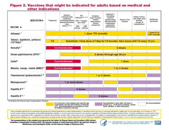 Εικόνα 20: Εθνικό πρόγραμμα εμβολιασμών για ορισμένες ειδικές ομάδες πληθυσμού στις Η.Π.Α., CDC, 2011 26 3.13.