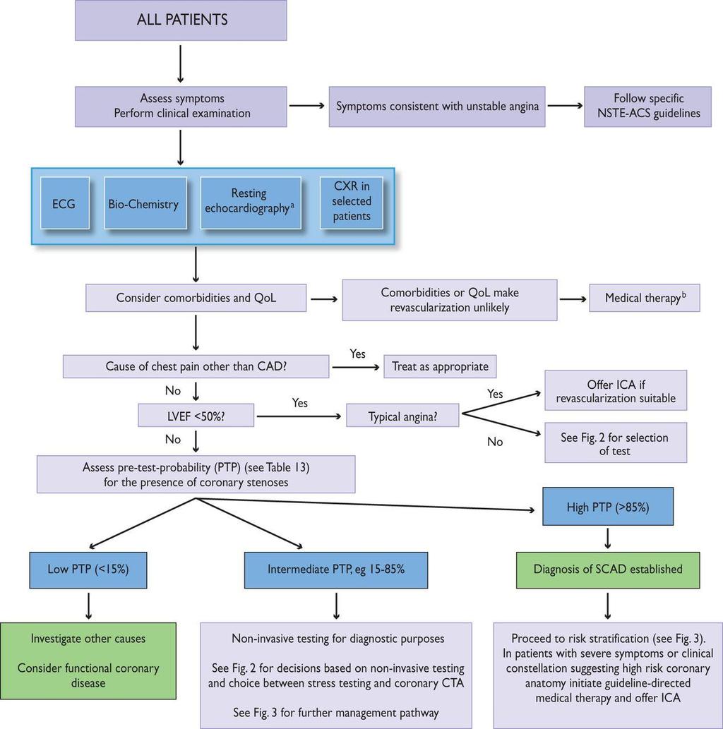 Initial diagnostic management of patients with suspected SCAD.