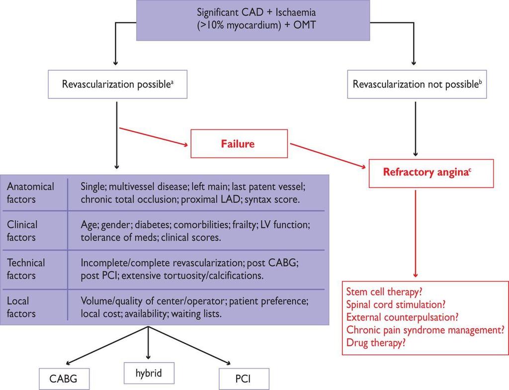 Global strategy of intervention in stable coronary artery disease (SCAD) patients