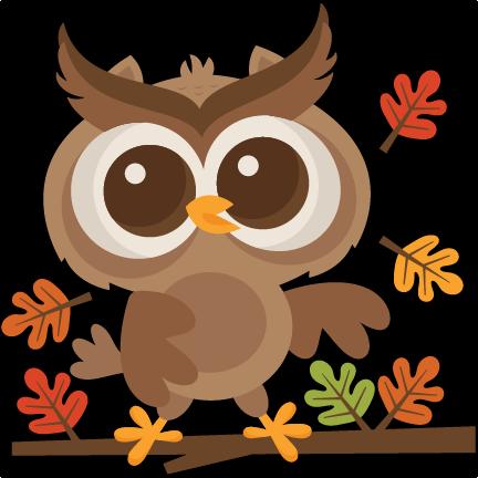 Pumpkin Village Festival (Rain or Shine!