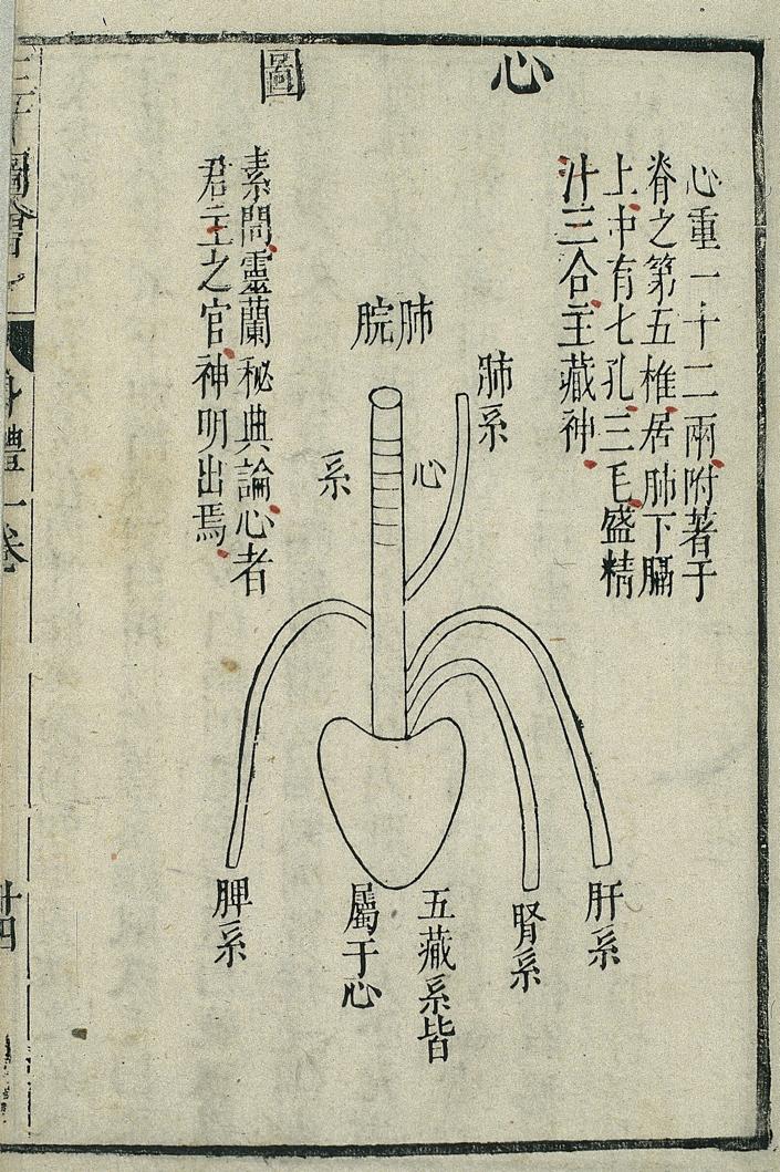 ΚΑΡΔΙA XIN Σχήµα και Θέση της Καρδιάς Form and position of the heart Woodcut illustration fromshenti sancai tuhui (Coloured Illustrations of the Body), by the Ming (1368 1644) author Wang Siyi.