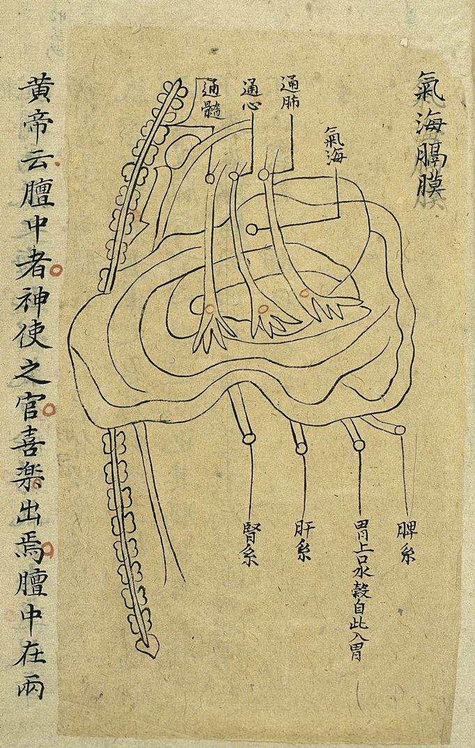 Θέση Ωκεανού του Qi και Διαφράγµατος Internal visualisation chart: Position of qihai and diaphragm Woodcut, incorporated into a handwritten copy of Yuanmen maijue neizhao tu (Internal Visualisation