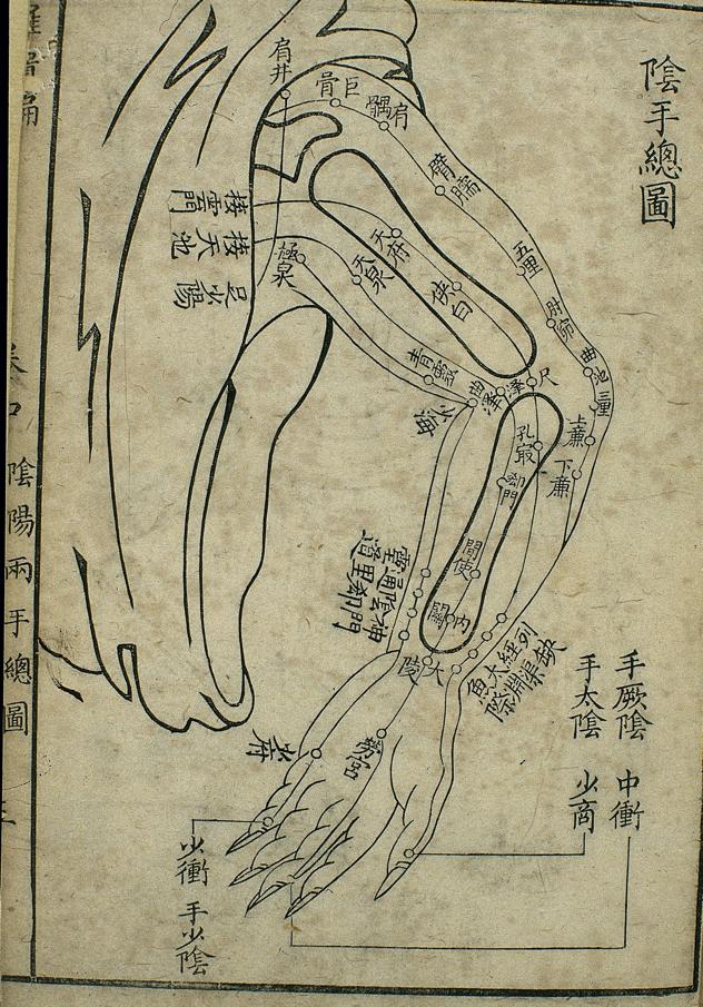 Μεσηµβρινός Καρδιάς & 3 Yin Άνω Άκρου Three hand yin channels and their acupoints, general chart Τhe heart channel of hand shaoyin with marked acupoints including shaochong(lesser