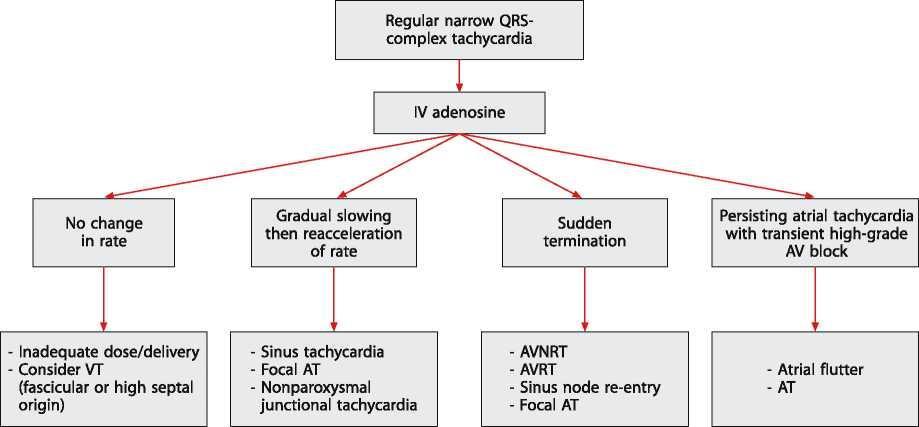 2003 ACC/AHA/ESC Supraventricular tachycardia guidelines http://aibolita.