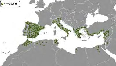 ελιά καλλιεργείται σε πολλά μέρη του κόσμου, η περιοχή της Μεσογείου χρησιμεύει ως η κύρια περιοχή παραγωγής που αντιπροσωπεύει περίπου το 98% της παγκόσμιας παραγωγής.