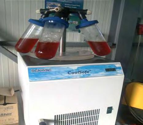 Εικόνα 9: Ξήρανση δειγμάτων με Freeze Dryer 2.3 