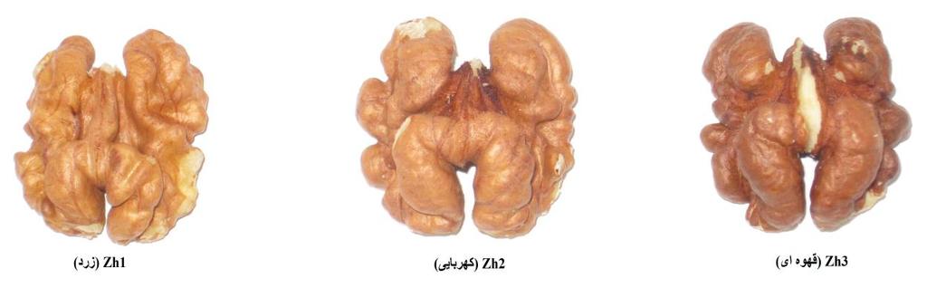 279 حميدي و همکاران: ارزيابی ويژگیهاي فيزيکی شيميايی و پايداري.
