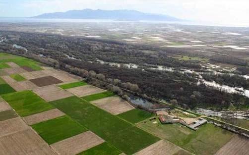 Το δέλτα αναδείχθηκε σε μία από τις έντονα καλλιεργούμενες περιοχές της Ελλάδας.