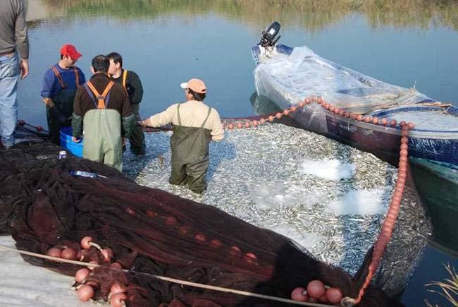 Οι σύγχρονες δραστηριότητες Η γεωργία αποτελεί την κύρια δραστηριότητα των κατοίκων της περιοχής. Η γεωργική γη γύρω από τη Βιστωνίδα θεωρείται η πιο γόνιμη της περιοχής.