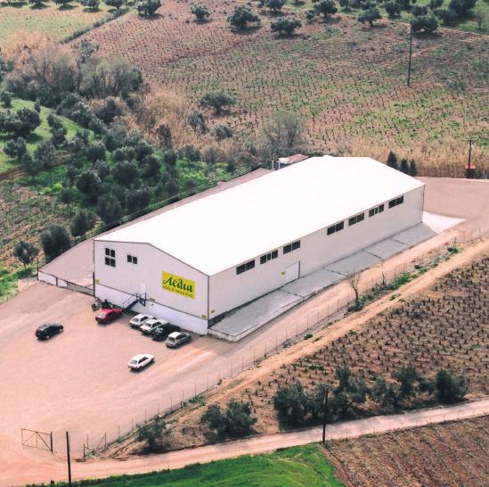 was founded in 1989 by the Bogiatzis family as an evolution of ASTRON MESSINIAS S.A., a historical company in olive oil production. In 2013, the company was acquired by Ifantis Foodgroup (www.ifantis.