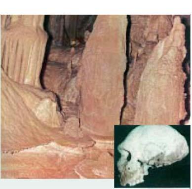 7. Το σπήλαιο των Πετραλώνων και το ανθρώπινο κρανίο που βρέθηκε εκεί. ΕΡΩΤΗΣΕΙΣ 1. ιαβάζω τo κείμενο 4 και απαντώ.