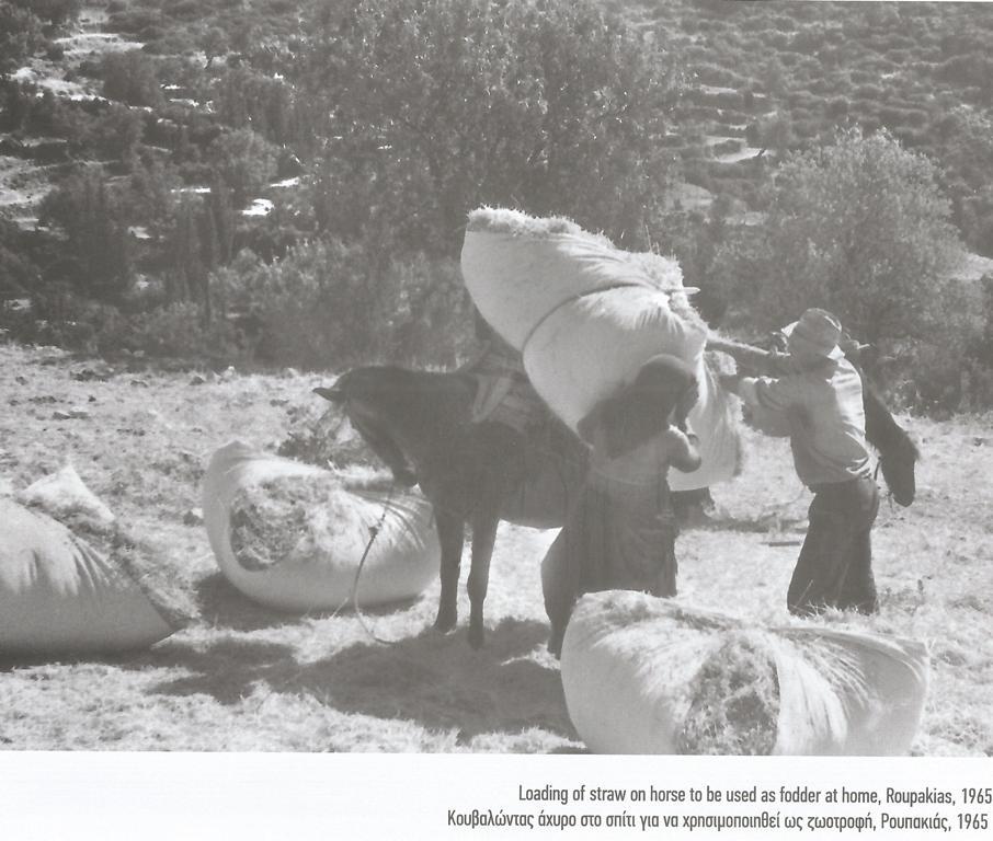 Μετά το 1965 αλωνιστικές μηχανές που λειτουργούσαν με τρακτέρ και τις οποίες είχαν νοικιάσει οι αγρότες έφτασαν στα χωριά.