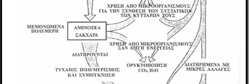 3: Στάδια ιζηματογένεσης και διαγένεσης (Tissot & Welte, 1984) Αρχικά, σε μικρότερα βάθη υφίσταται τη δράση των μικροοργανισμών, κυρίως βακτηριδίων, με αποτέλεσμα την αποδόμηση των βιοπολυμερών σε