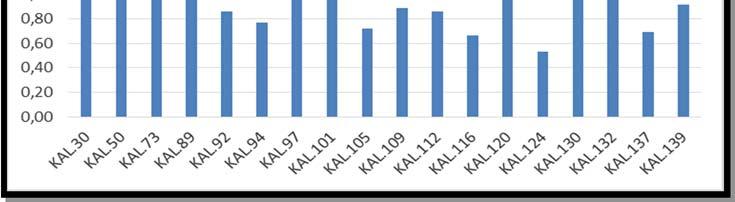 Κεφάλαιο 6 Ανάλυση αποτελεσμάτων Δείκτης S3: Αντιστοιχεί στη ποσότητα του CO2 (mg CO2 / g πετρώματος) που παράγεται κατά την πυρόλυση του κηρογόνου μέχρι τους 390 ο C.