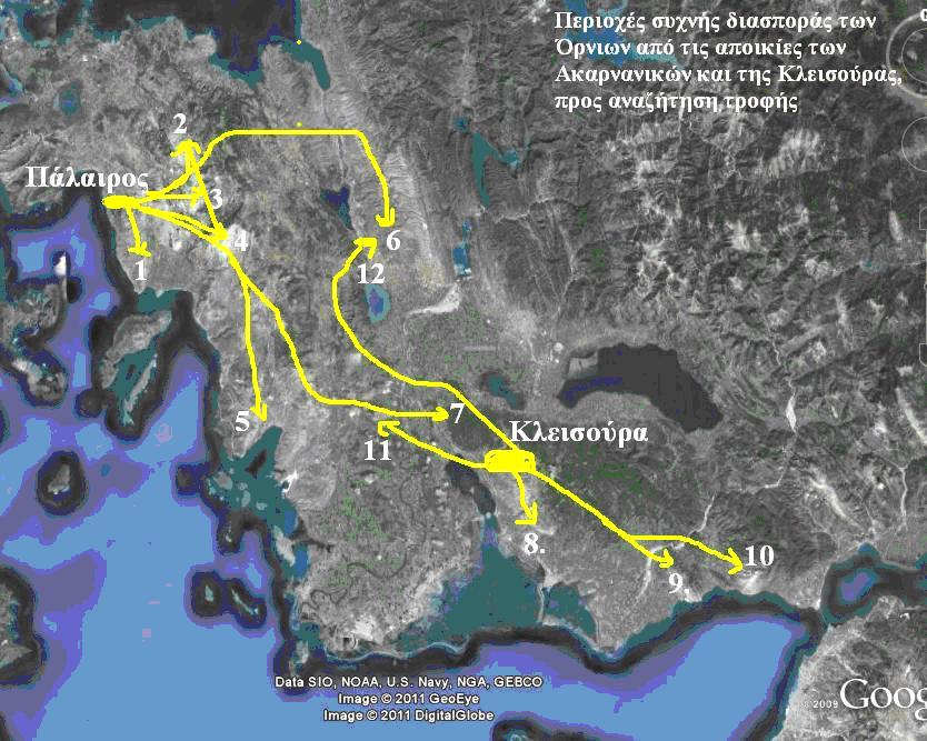 Χάρτης 5 και Πίνακας 2: Ενδεικτικές διαδροµές και προορισµοί των Όρνιων από τις αποικίες της Παλαίρου και του φαραγγιού Κλεισούρας, κατά τη διαδικασία αναζήτησης τροφής (µε κίτρινο χρώµα).