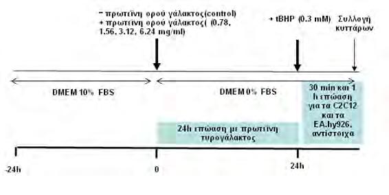 οξειδωτικού στρες (GSH, ROS, TBARS, GSSG, πρωτεϊνικά καρβονύλια, TAC).