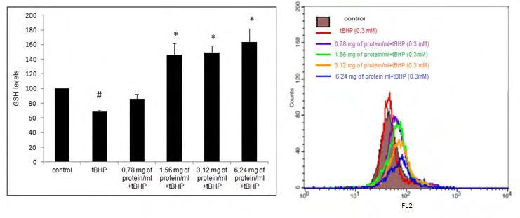 A B Γράφημα 7: Επίδραση της αιγοπρόβειας πρωτεΐνης ορού γάλακτος στα επίπεδα της γλουταθειόνης (GSH) των μυϊκών κυττάρων C2C12 (A).