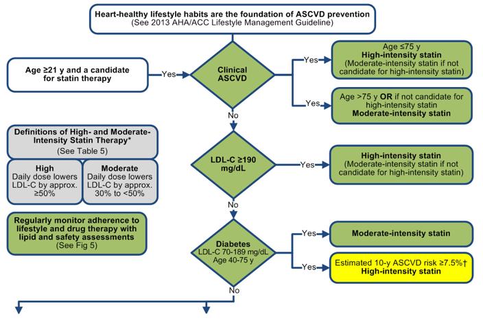 Summary of Statin Initiation