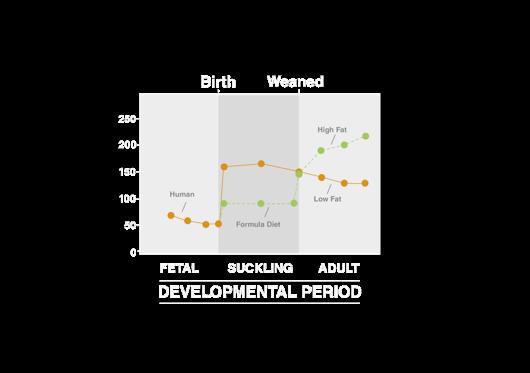 Τα χαµηλά επίπεδα γέννησης LDL-C αυξάνονται µε το θηλασµό και την ενήλικη ζωή µε έκθεση στη δυτική διατροφή 140 120 Newborn data from premature (n=38) and term (n=41) neonates; infant data based on a