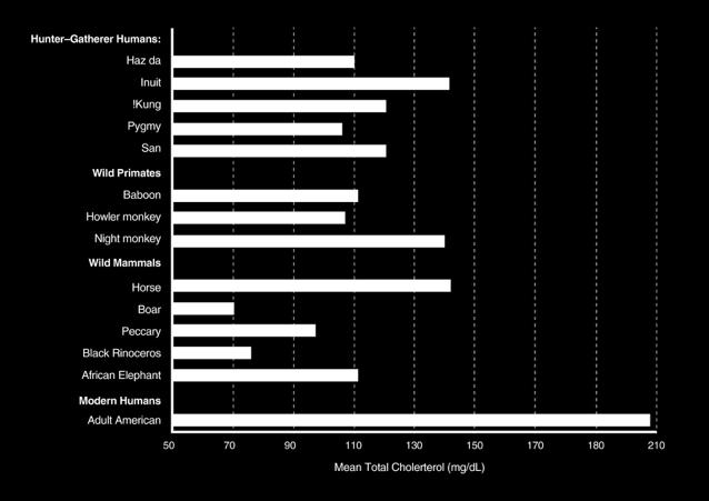 Οι Δυτικοί άνθρωποι είναι τα µόνα θηλαστικά που έχουν ολική χοληστερόλη >160 mg/dl Field observations of hunter-gatherer populations showed them to be generally free of symptoms of CVD even when