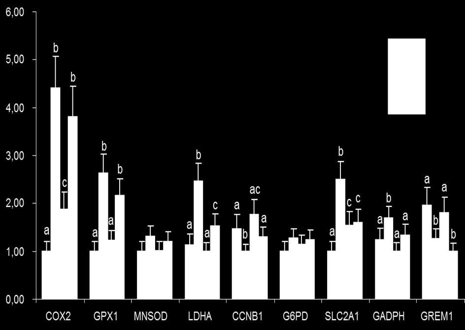 Έκφραση γονιδίων στα κύτταρα του ωοφόρου δίσκου Στην 18ωρη ωρίμανση η γκρελίνη προκάλεσε υπερέκφραση των γονιδίων COX2, SLC2A1, ενώ στην 24ωρη προκάλεσε υποέκφραση των LDHA, SLC2A1, GAPDH, και