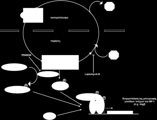 Minet et al 2000, Sodhi et al 200).