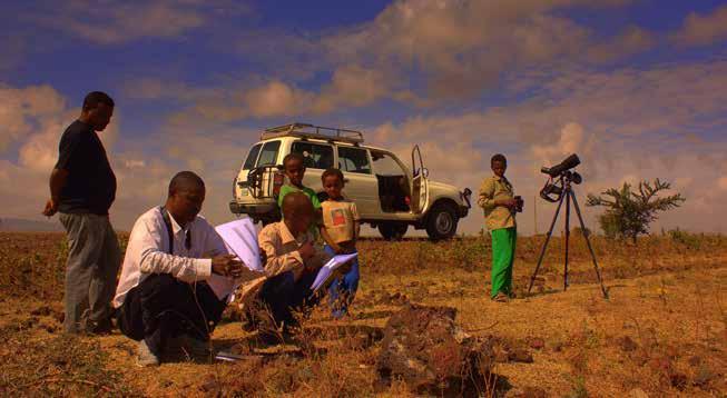 ΑΦΙΕΡΩΜΑ LIFE10 NAT/BG/000152 Syoyan Nikolov/ BSPB Εκπαίδευση στον εντοπισμό Ασπροπάρηδων 20 Από την Addis Ababa στο Afar και το Amhara: μια ιστορία για τους γύπες, τον άνθρωπο και την άγρια φύση της