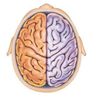 Έχει διαπιστωθεί ότι ο εγκέφαλος ατόμων με δυσλεξία, διαφέρει τόσο σε ανατομικό όσο και σε λειτουργικό επίπεδο από