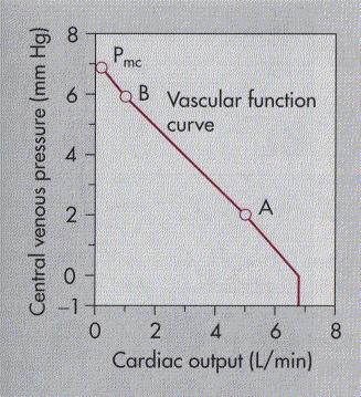 3 רואים שהלחץ בורידים הכי גבוה כשתפוקת הלב היא אפס, וככל שהלב עובד קשה יותר- הלחץ הורידי יורד. כאשר הלחץ הורידי יורד מתחת לאפס הורידים עוברים,collapse וזה מקשה על הלב לשאוב דם (לא בלתי אפשרי).