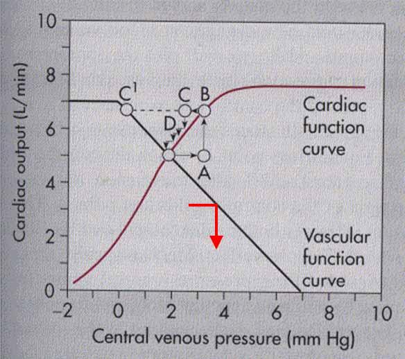 5 אם מזרימים 4l/min ומגדילים את ההתנגדות הפריפרית הפרש הלחצים בין הורידים לעורקים. Δ P= Q+ עולה. את הלחץ בעורק מעלים על ידי העברת דם מהורידים.