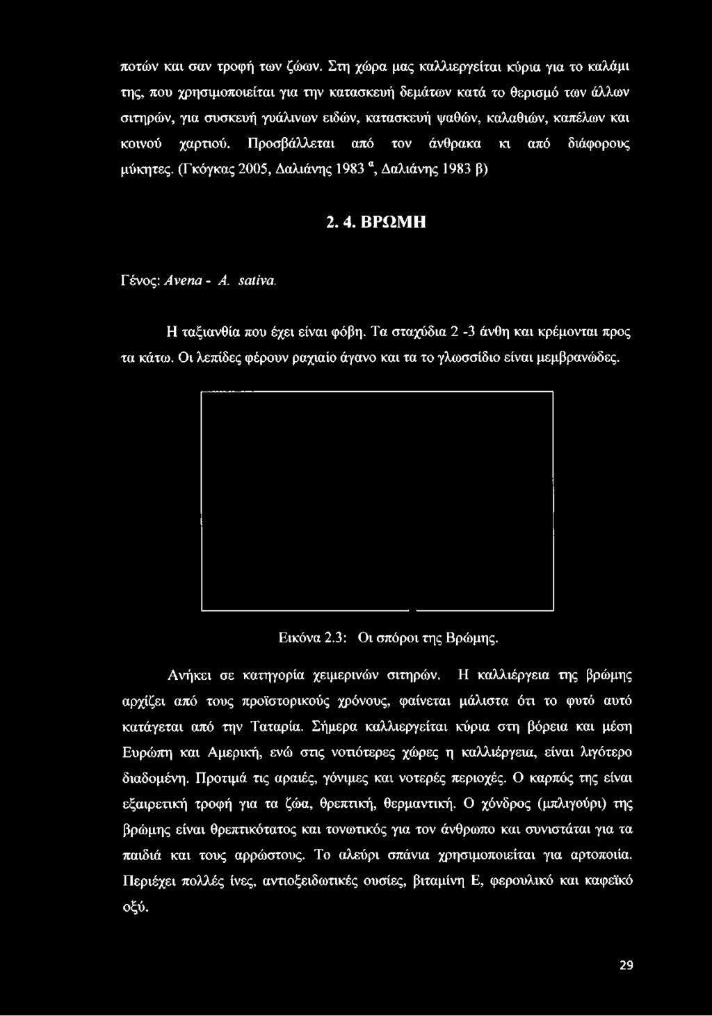 κοινού χαρτιού. Προσβάλλεται από τον άνθρακα κι από διάφορους μύκητες. (Γκόγκας 2005, Δαλιάνης 1983 α, Δαλιάνης 1983 β) 2. 4. ΒΡΩΜΗ Γένος: Avena - A. sativa. Η ταξιανθία που έχει είναι φόβη.