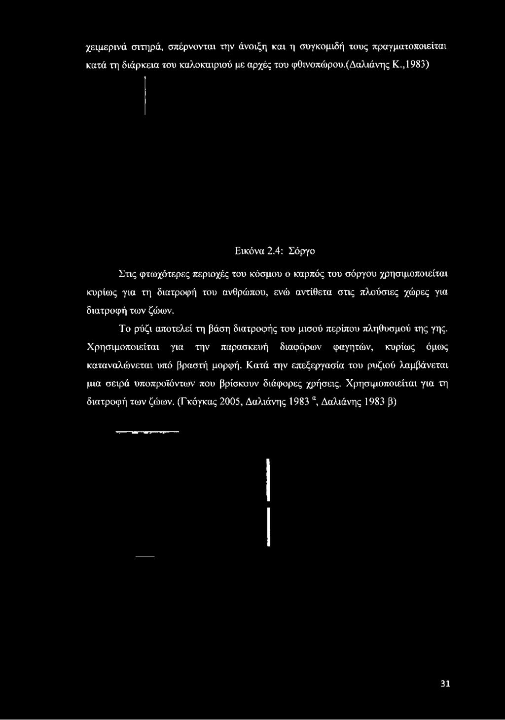 4: Σόργο Στις φτωχότερες περιοχές του κόσμου ο καρπός του σόργου χρησιμοποιείται