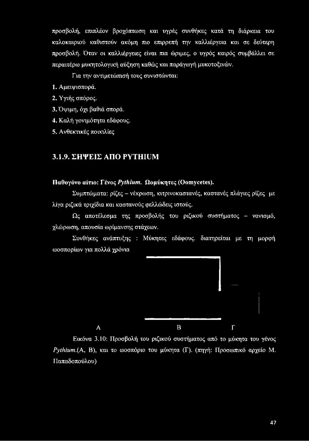 Καλή γονιμότητα εδάφους. 5. Ανθεκτικές ποικιλίες 3.1.9. ΣΗΨΕΙΣ ΑΠΟ ΡΥΤΗΙϋΜ Παθογόνο αίτιο: Γένος ΡγίΙιίΐΜΐ.