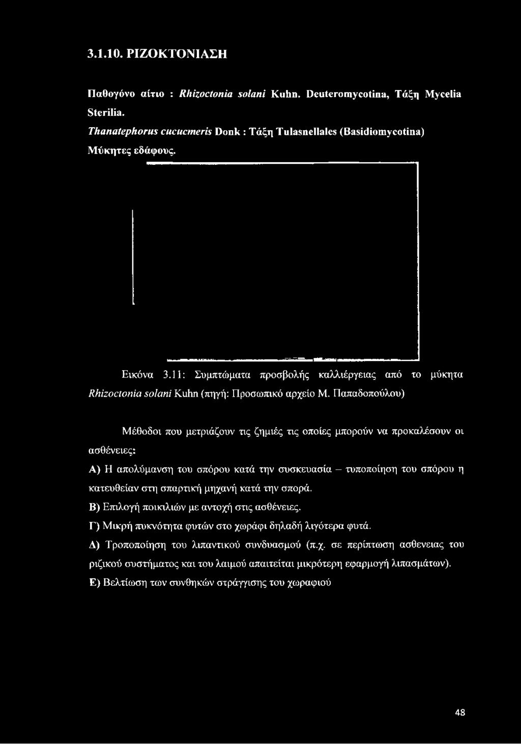 11: Συμπτώματα προσβολής καλλιέργειας από το μύκητα Rhizoctonia solani Kuhn (πηγή: Προσωπικό αρχείο Μ.