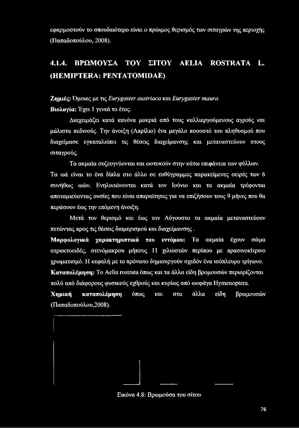 Διαχειμάζει κατά κανόνα μακριά από τους καλλιεργούμενους αγρούς και μάλιστα πεδινούς.