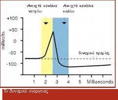 Δυναμικά ενεργείας Προκαλούνται από ποικίλα φυσικά γεγονότα