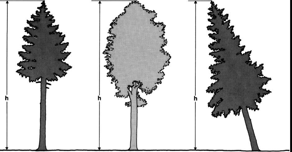 Ύψος ιστάμενων δέντρων Ως ολικό ύψος δέντρου ορίζεται η κάθετη απόσταση μεταξύ της κορυφής και της βάσης του μετρούμενο με βάση μια θεωρητική κατακόρυφη ευθεία (van Laar and Akça (2007).