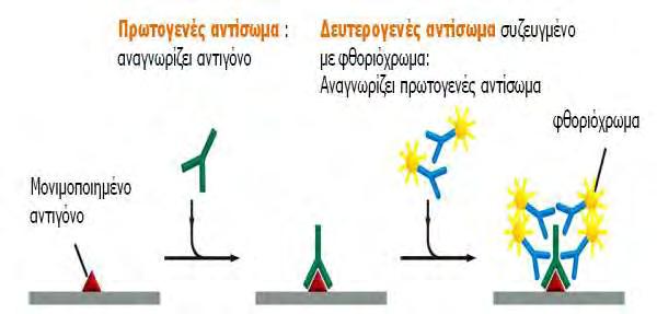 3.7.2.7. Στατιστική επεξεργασία Η στατιστική επεξεργασία των αποτελεσμάτων έγινε με το λογισμικό πρόγραμμα Sigmaplot 12.0 (Systat).