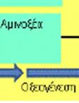 [2] Οξικογένεση Τα προϊόντα της οξεογένεσης λειτουργούν