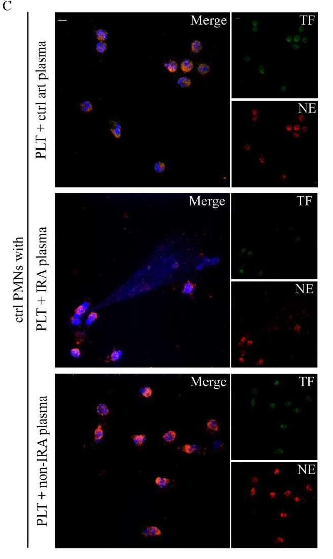 Activated platelets induce the formation of NETs not