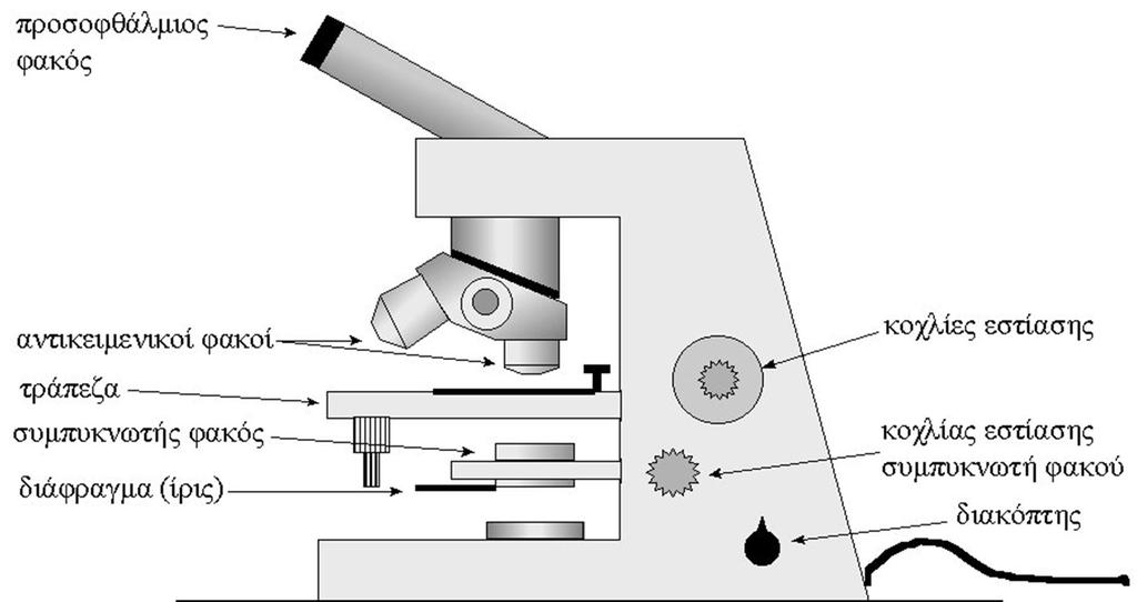 2. Πειραματικές τεχνικές 2.1. Οπτικό Μικροσκόπιο (ΟΜ) Εικόνα 2.1.α: Αναπαράσταση οπτικού μικροσκοπίου (http://www.aua.gr/fasseas/optika%20mikroskopia.
